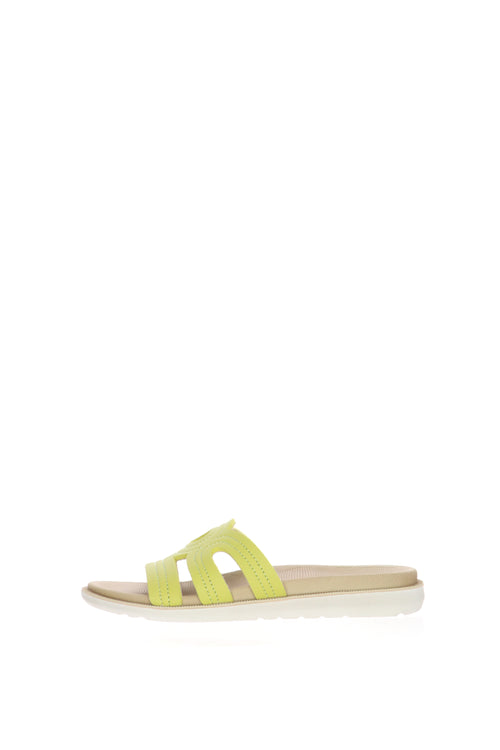 Ciabatta Dual Sensity fascia colorata - 1