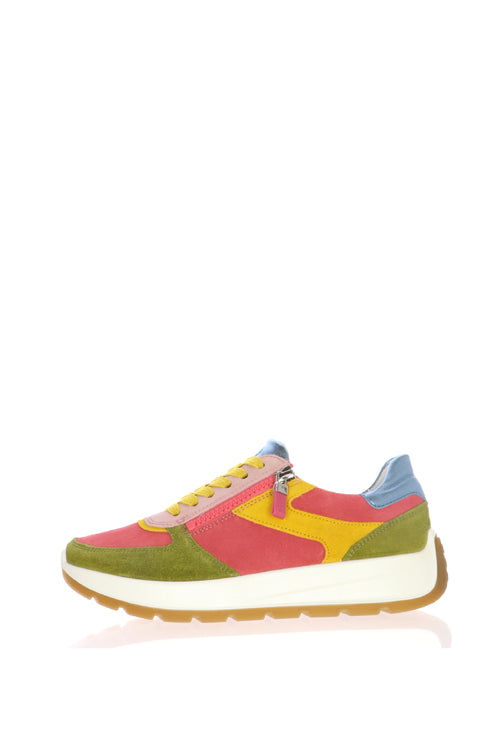 Sneakers colorata con lacci e cerniera Ara Shoes - 1